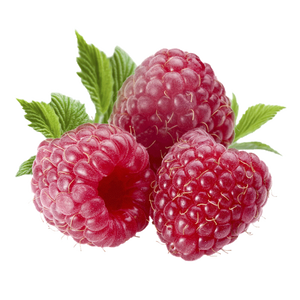 Keton <span class=keywords><strong>Fructus</strong></span> <span class=keywords><strong>Rubi</strong></span> grosir ekstrak pembekuan-kering instan organik 100% bubuk buah Raspberry - Product Image 3