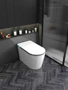 Tự Động Mở Kéo Dài WC Nhà Vệ Sinh Điện Nhật Bản Phong Cách Gốm Thông Minh Chậu Vệ Sinh Nhà Vệ Sinh Với Điều Khiển Từ Xa - Product Image 6