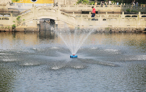 Aérateur solaire pour bassin d'aquaculture piscicole, système solaire agricole pour augmenter l'oxygène, petits aérateurs solaires SFB15/4.5-48/370 Solar Ba - Product Image 6