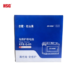 N50Z Car Battery - 12V 60Ah JIS Standard High Performance