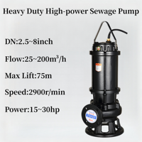 Pompe submersible 25 CV pour eaux usées, 8 pouces, 180 m³/h, à faible hauteur de refoulement et haut débit, en fonte