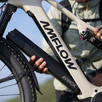 En stock, vélo de montagne électrique Amflow TL 2027, cadre en carbone, batterie amovible 800Wh, ultraléger