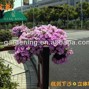 Jardinière suspendue verte, jardinières en plastique pour balcon, jardinière de terrasse pour l'aménagement vert - Product Image 5