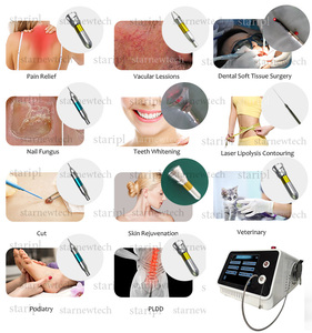 Equipo de Endoláser de 980 1470nm para Reducción de Bolsas en los Ojos, Celulitis, Moldeamiento Corporal, Lipólisis/Liposucción, Pérdida de Peso, Estimulación de la Regeneración de Colágeno - Product Image 6