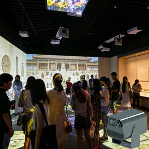 Sistema de Proyección Interactiva para Exteriores en Bosques, Mapeo de Video 3D, Arte Digital, Iluminación de Paisajes - Product Image 1