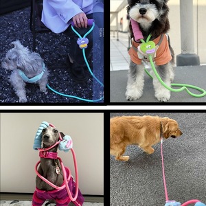 Correa de Tracción para Perros Pequeños, Cadena para Pasear Perros, Estilo Europeo BO-01, No Ajustable, Talla Única, Regalo para Mascotas - Product Image 4