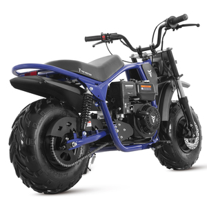 รถมอเตอร์ไซค์ Tao Motor 2025 โครงใหม่ 196 ซีซี มินิไบค์ - Product Image 2