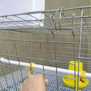 H loại gia cầm pin lớp Lồng thép mạ kẽm nuôi nhà công suất 80 chim Gà Thịt gà trang trại nhà cung cấp Nhà máy trực tiếp - Product Image 3