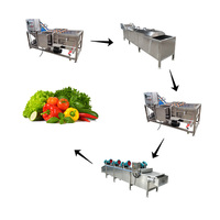 Plantaardige groente- en fruitwas-, reinigings- en blancheringsmachine plan