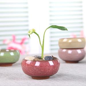 <span class=keywords><strong>Vasi</strong></span> per <span class=keywords><strong>Piante</strong></span> Succulente LUYI Creativi, <span class=keywords><strong>Mini</strong></span> <span class=keywords><strong>Vasi</strong></span> in Ceramica con Effetto Craquelé, Decorazione per Casa e Giardino, Vaso per Fiori Artigianale Zakka - Product Image 4