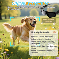 Gafas de Sol Inteligentes con Cámara y Grabación de Video, con IA, para Ciclismo y Deportes al Aire Libre, Venta al Por Mayor de Fábrica