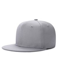 Gorra de Hip-Hop para hombres, modelos explosiones, Gorras Planas con gran promoción