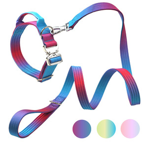 Correa de perro de doble capa degradada, Collar táctico para mascotas, correa de entrenamiento, Collar de cuello de perro para razas medianas y grandes - Product Image 1