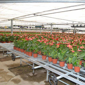 Sistema di Montaggio a <span class=keywords><strong>Terra</strong></span> per Impianti Solari in Acciaio con Staffe Fotovoltaiche e Scaffalature Impilabili - Product Image 2