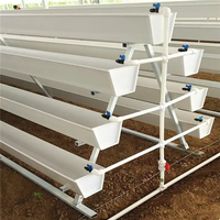 Système hydroponique NFT de haute qualité, canal PVC standard, économie d'eau pour système de culture hydroponique