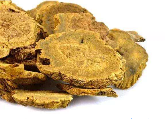 Giant Knotweed extract Emodin powder Polygonum Cuspidatum extract