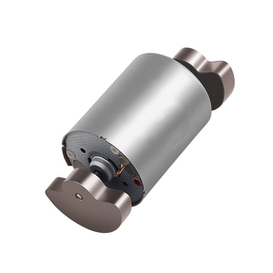 <span class=keywords><strong>Motor</strong></span> vibrador de doble sector Faradyi R370 2025, <span class=keywords><strong>Motor</strong></span> de vibración de 12V CC, <span class=keywords><strong>Motor</strong></span> de micro masaje de CC fuerte de <span class=keywords><strong>6000rpm</strong></span> - Product Image 1