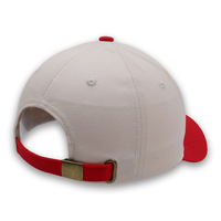 Casquette de baseball unisexe décontractée en tissu mesh, brodée en 3D, bicolore, avec la phrase 'Put It on My Husbands', en tissu courant