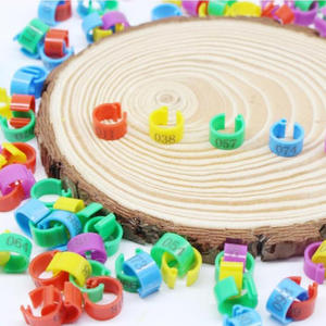 Anillos Ajustables Ecológicos <span class=keywords><strong>de</strong></span> Plástico <span class=keywords><strong>para</strong></span> Aves <span class=keywords><strong>de</strong></span> <span class=keywords><strong>Corral</strong></span>, Estilo Clásico, Anillos Digitales <span class=keywords><strong>para</strong></span> Patas <span class=keywords><strong>de</strong></span> <span class=keywords><strong>Pollo</strong></span>, Pato y Ganso, Año Nuevo Chino - Product Image 3