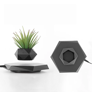 زخارف مغناطيسية مخصصة لعرض الإرتفاف ، زخارف منزلية للنباتات العائمة للبيع بالجملة - Product Image 6