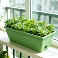 Pot de fleurs blanc tendance avec plateau, grand bac à plantes rectangulaire, pot de fleurs en plastique pour la maison et le jardin, long, pour l'intérieur