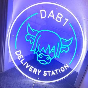 사용자 정의 새로운 디자인 장식 발광 다이오드 네온 램프 유연한 밧줄 벽 표시 현대 빛나는 네온 빛 - Product Image 6