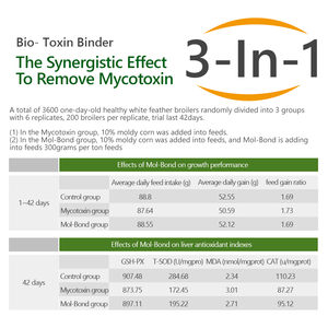 MolBond, Bentonit Maya MOS Glikoz Oksidaz Enzim Bağlayıcı Mikotoksin Biyolojik Olarak Parçalanabilen Aflatoksin Zearalenon İçerir - Product Image 4