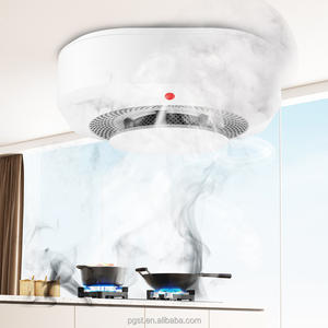 Pgst oem/odm חיישני עשן אזעקת עשן עצמאי של <span class=keywords><strong>10</strong></span> שנים מיני עשן מיני - Product Image 4