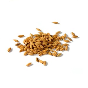 Fibra de arroz fresca, precio barato de fábrica de arroz - Product Image 5