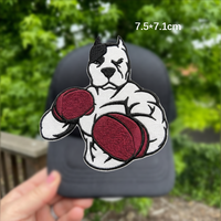 Patch brodé thermocollant OEM ODM 5 motifs graphiques colorés pour vêtements, sacs et accessoires de sport (pêche, boxe)