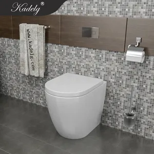 Back To Wall Toilet Suite P Trap Toilets Pot With Soft Close Seat