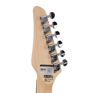 Chitarra Elettrica Solid Body Ternetang con Pickup Humbucker Alnico, Manico in Acero, 22 Tasti, Corde D'Addario XL120, Selettore a 5 Posizioni - Product Image 6