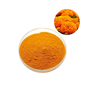 Richtek Ltd polvo de luteína 20%/10% 5% grado alimenticio aceite <span class=keywords><strong>Soluble</strong></span> colorante materia prima extracto de caléndula - Product Image 1