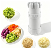 Petite râpe à ail manuelle Gadget de cuisine Dénudeur d'ail Processeur de hachage