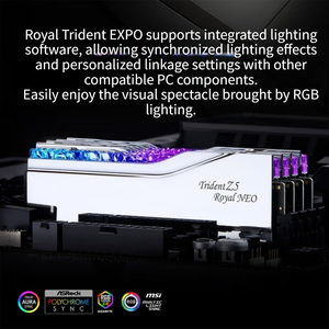 G. SKILL 32GB (16Gx2) DDR5 6000MHz Desktop <b>Memory</b> <b>Stick</b> Royal Halberd EXPO Edition RGB Silver/C28 Specially Engineered - Product Image 6
