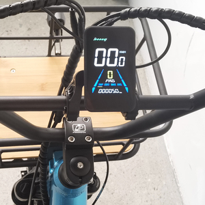 Prezzo di fabbrica pesante trasporto pneumatico grasso posteriore <span class=keywords><strong>tre</strong></span> <span class=keywords><strong>ruote</strong></span> <span class=keywords><strong>bici</strong></span> elettrica per adulti triciclo elettrico con deragliatore a 7 velocità - Product Image 5