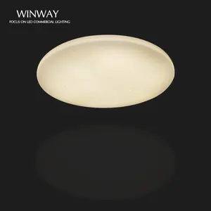 New Design Light 80w Dimmable Night Light Color Adjustable Slim Smart LED Ceiling Lamp 3 Color September 2024 New 2024