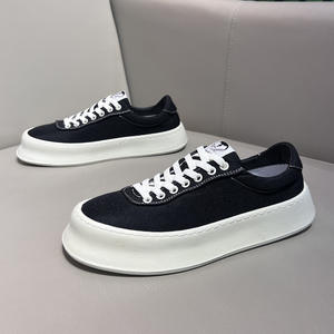 Chaussures Homme 2026 Nouvelle Collection Printemps Sportives Respirantes Tendance Rétro à Enfiler Multifonctionnelles en Toile à Semelle Épaisse Rehaussantes - Product Image 3