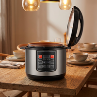Cuisinière à pression multifonction électrique 12L en acier inoxydable, prix d'usine en promotion, cuiseur à riz