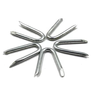 Clous en acier galvanisé de type U / <span class=keywords><strong>Agrafe</strong></span> de clôture à tige lisse <span class=keywords><strong>pour</strong></span> poteaux en bois, qualité industrielle, <span class=keywords><strong>fil</strong></span> barbelé <span class=keywords><strong>pour</strong></span> clôture <span class=keywords><strong>électrique</strong></span> - Product Image 3