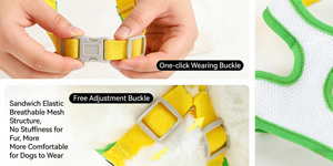 สายรัดอกสุนัขตาโตน่ารัก สวมใส่สบาย ไม่รัดคอ เหมาะสำหรับเดินเล่นกลางแจ้ง พร้อมโลโก้สั่งทำได้ - Product Image 5