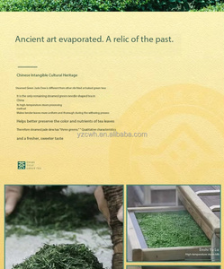 Té Nuevo 2026, Té Verde Vaporizado Enshi, Yulu, <span class=keywords><strong>Brotes</strong></span> Jóvenes Antes del Festival Qingming, Aroma Rico y Duradero, Té a Granel - Product Image 6