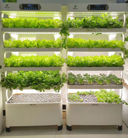 Planteur de jardin intelligent led de vente chaude élèvent des microgreens légers et le système hydroponique complet de serre verticale