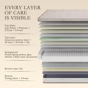 Matelas de <span class=keywords><strong>lit</strong></span> Queen Size à ressorts ensachés sans colle et mousse à mémoire de forme au thé <span class=keywords><strong>vert</strong></span>, roulé en boîte, pour <span class=keywords><strong>lit</strong></span> de massage - Product Image 5