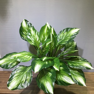 Mur végétal artificiel vertical, simulation de feuilles de <span class=keywords><strong>Hosta</strong></span>, décoration florale pour balcon intérieur, fond de porte - Product Image 5
