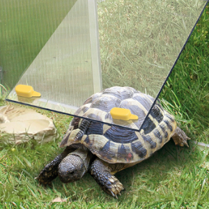 Paula <strong>Turtle</strong> House Breathable Pet Furniture Extension Kit for Small Animals Made of Durable <strong>Glass</strong> - Product Image 5