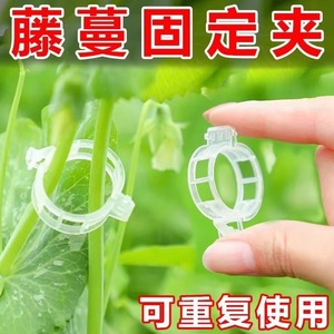 Clips de plástico blancos para atar plantas, 100 por paquete, para fijación de soporte de plantas de jardín - Product Image 5