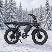 Vélo électrique tout-terrain avec freins hydrauliques, pneus larges 20*4, 60V 30Ah 250W, 7 vitesses, 30 mph, stock local US, fabrication sur mesure
