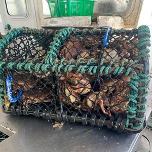 Trampa de jaula de pesca de alta resistencia para el mercado europeo, 60x45x38cm, para langosta, Creel, PE, multifilamento, trampa para barcos de pesca - Product Image 4
