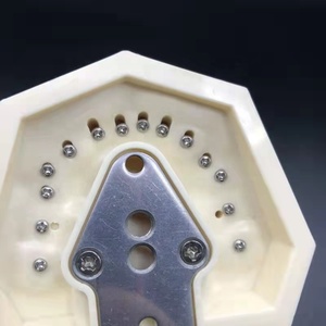 Modèle dentaire supérieur complet Sandra Dental Tw01 pour l'enseignement des dents remplaçées - Acier inoxydable et acrylique - Product Image 5